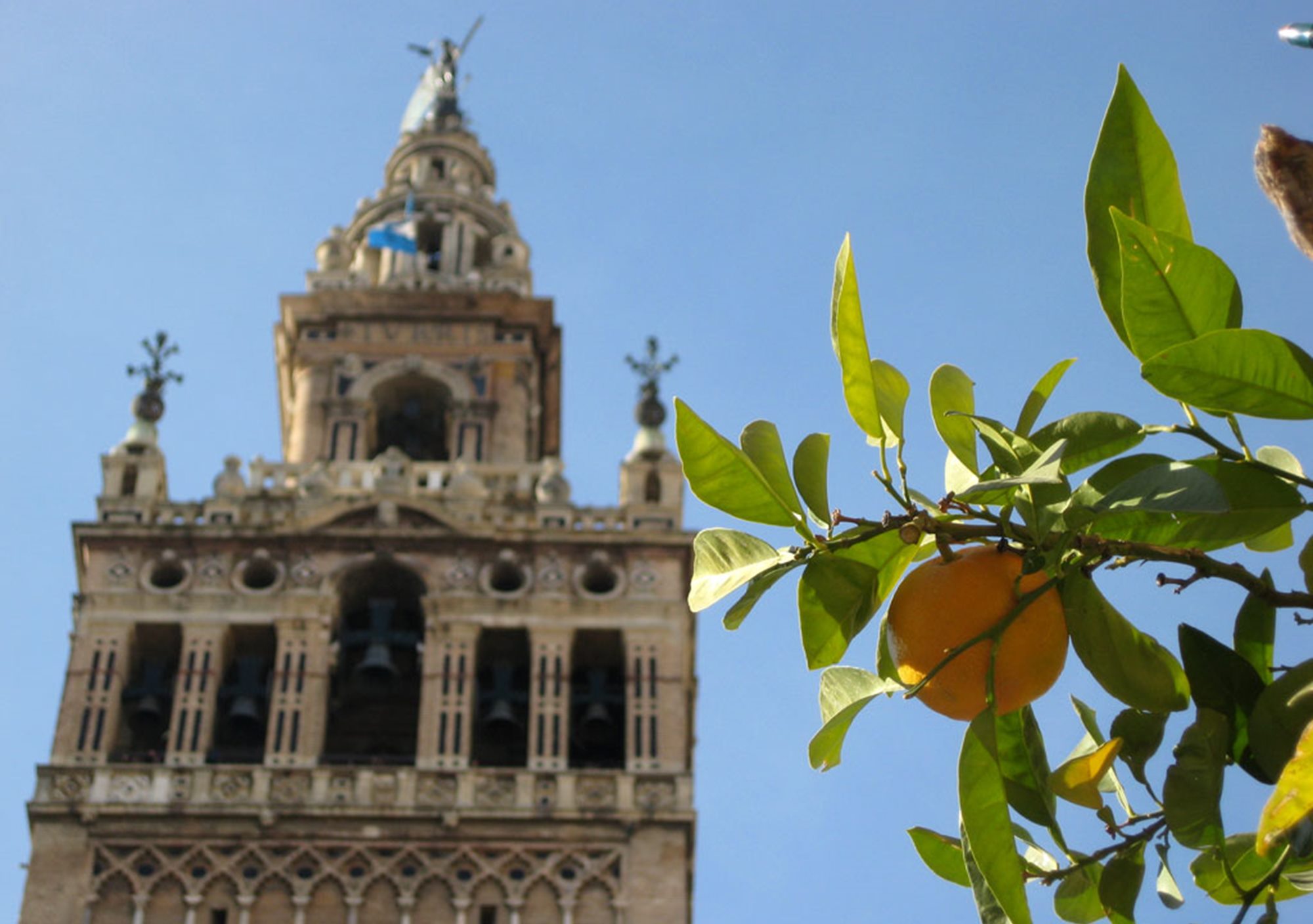 reservar tour ruta Visita Sevilla Fascinante Barrio de Santa Cruz mas Catedral